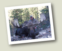 Steve Creamer Moose