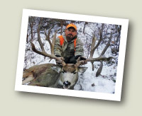 CO Gov. Deer