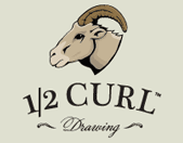 1/2 Curl Drawing