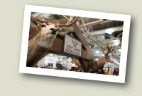 MDF Booth 2009
